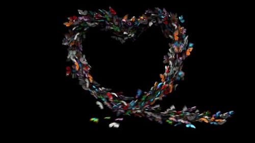 Colorful Butterfly Swarm Forming Heart Shape Animation