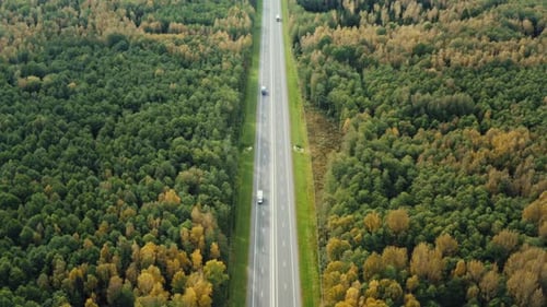 Aerial Drone Shot Cars Driving Along Straight Country Road in Autumn Forest. Fall Season Colors