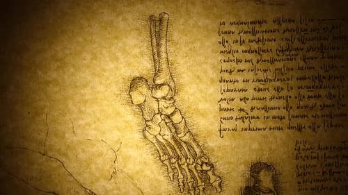 Anatomie-Kunst
