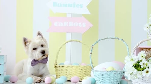 Perro blanco en decoración de Pascua