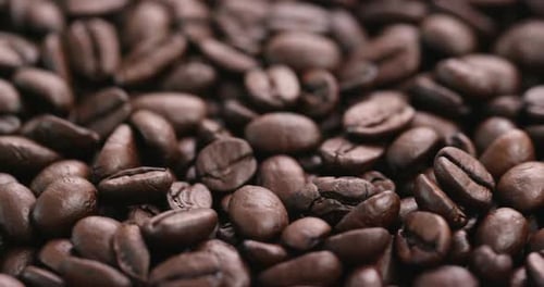 Coffee Bean