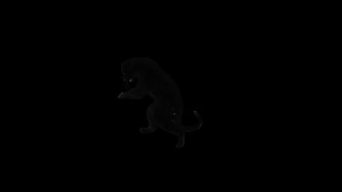 Realistic Black Panther Attacking Animation with Alpha Channel