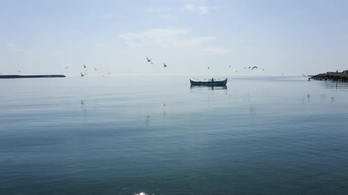 Fischerboote kehren zum Hafen zurück, umgeben von Möwenvögeln.