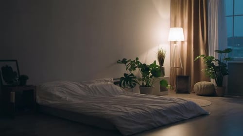 Aesthetic Bedroom with Plants at Night