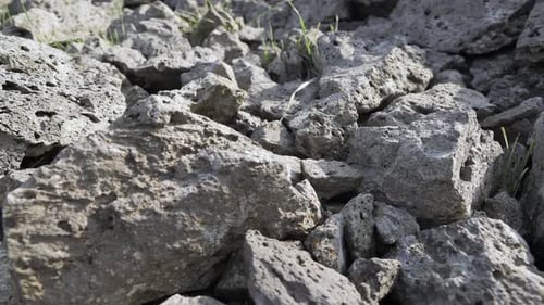 Poröse Basaltsteine