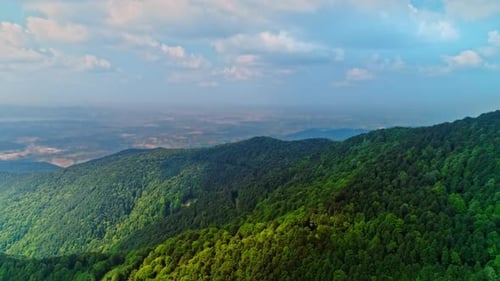 Vue aérienne de la montagne et de la forêt (4K)