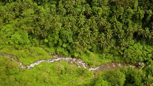 Fluss fließt im Bergdschungel, Philippinen, Camiguin