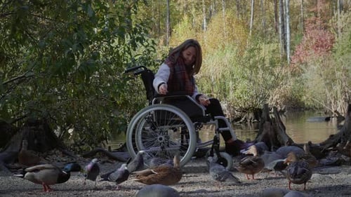 Young Woman in Wheelchair Feeding Ducks by Lake