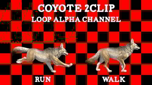 Coyote 2Clip Loop