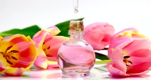 Blütenprodukt mit rosafarbener Öl-Essenz. Aromatische Flüssigkeiten. Parfümerie