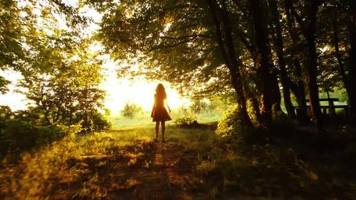 Dark Silhouette of Young Woman Walking Alone Through Dark Forest Joyfully Raising Her Hands in