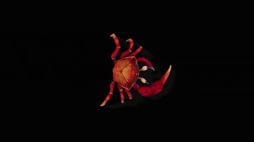 Crab Eat 2