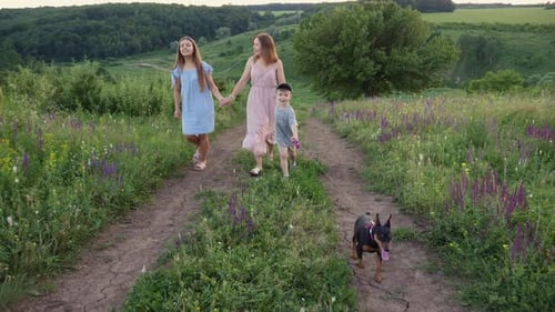 Family Walk in Countryside with Dog