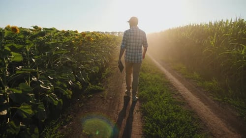 Farmer Walks Through Rural Fields on Sunny Day