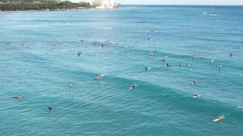Surfando na praia de Waikiki 4 km