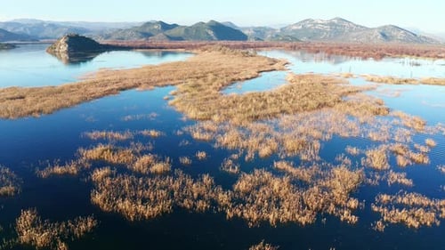 Yellow grass in the blue water of a marsh, surrounded by hills and mountain peaks. Lake Skadar