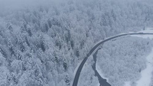 Aerial shot: cars and trucks are driving by the road in winter forest.