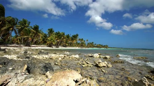 Amazing Ocean Landscape
