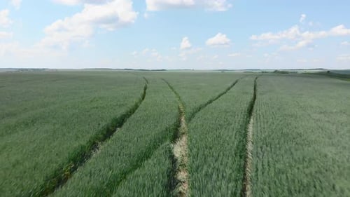 Flying over green fields