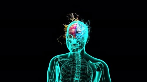 4K Abstract background of a Xray Man walking with left and right Brain