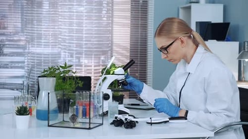 Female Scientist Examines Sample Under Microscope in Lab