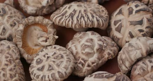 Japanese Dry Mushroom