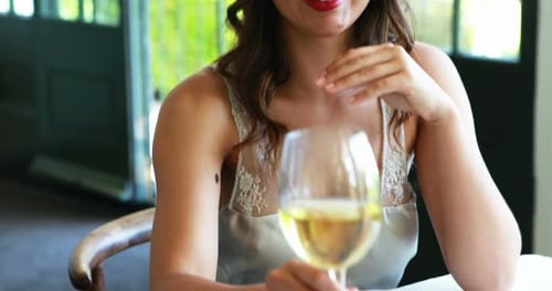Smiling Woman with Wine Glass and Meal
