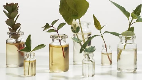 Frascos com óleos essenciais e ervas