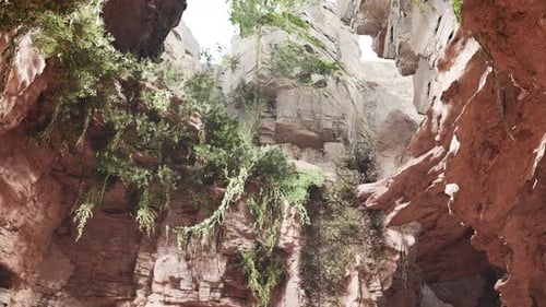 Inside a Limestone Cave with Plants and Sun Shine