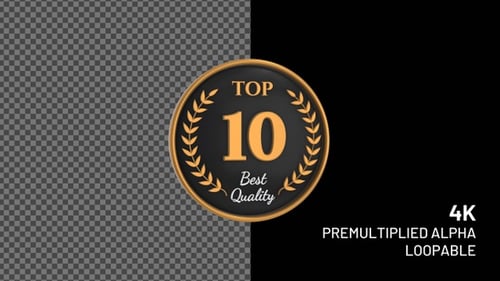 Top Ten Badge