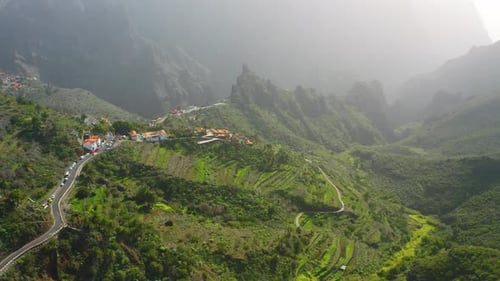 Green Nature Landscape