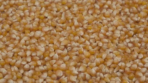 Céréales de