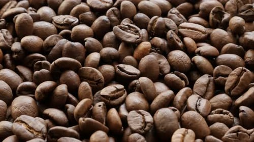 Coffee beans background arabica type slow tilting 4K 3840X2160 UHD video - Fresh roasted coffee bea