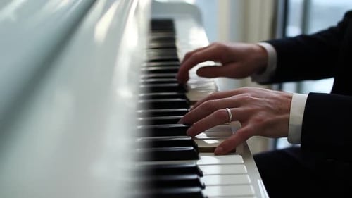 Pianist Plays the Piano Fingers Run Over the Keys Musician Plays the Melody