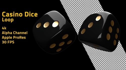 Black Dice Loop
