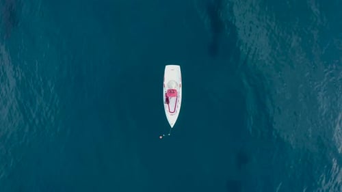 I Follow the Boat in the Open Sea