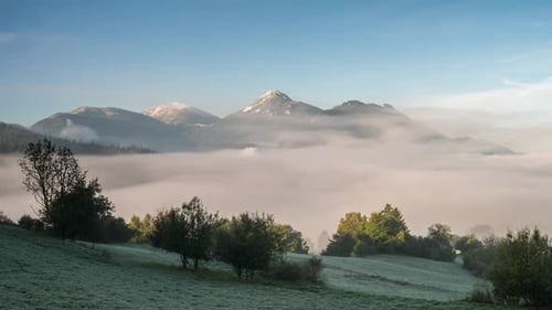 Mystic Morning in Mountains