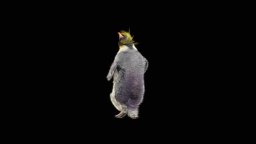 Penguin Dancing HD