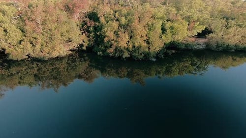 Drone flying over a river in the countryside. The forest grows on the banks of the river. The day is