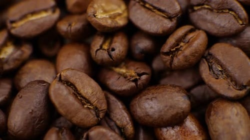 Coffee Beans Close Up of Roasted Seeds