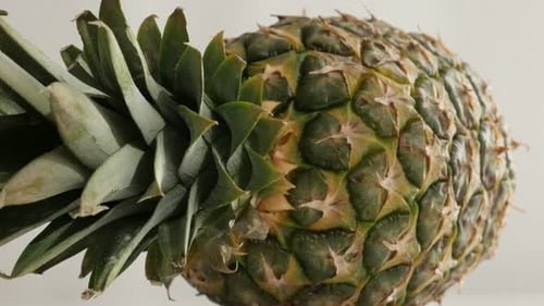 Crown and body of pineapple laid down 4K 2160p 30fps UltraHD tilting footage - Slow tilt on Anana