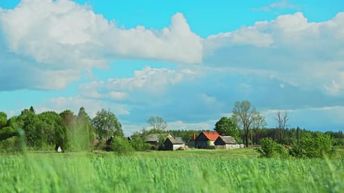 Countryside Rural Wheat Field Meadow Landscape And Old Wooden House In Russian Village. Summer Sunny