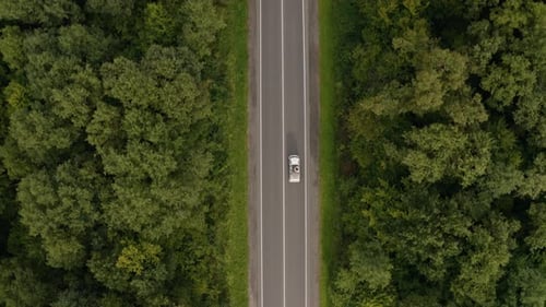 Aerial Following Tracking Drone Shot of White Vehicle Car Driving on Asphalt Road in Oak Tree Forest