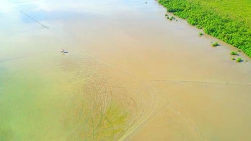 Aerial top view over the mangrove forests along the coast at low tide