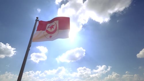 Drapeau de la ville de Halle (Saale) sur un mât V4 - 4K