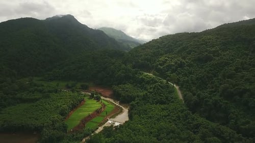 Above Mountain Forest 01