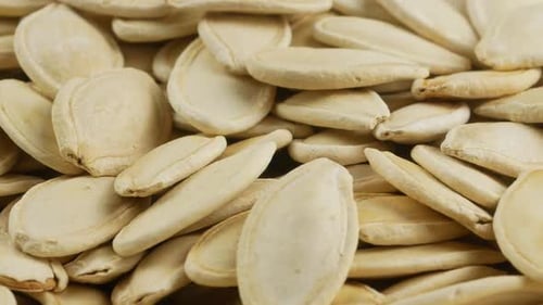 Pumpkin seeds close up