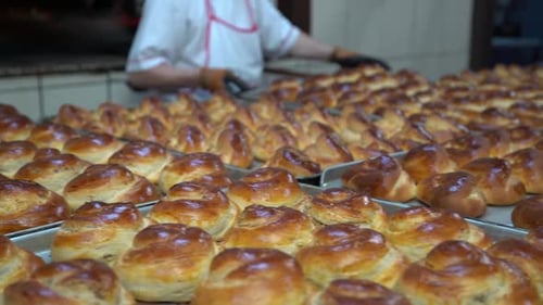 Freshly Baked Bread Rolls in Bakery