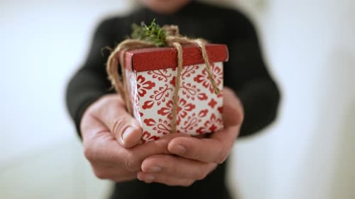 Hands Holding Christmas Present Offering Gift