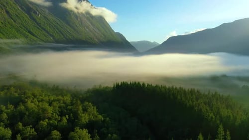 Morning Mist Over the Valley Among the Mountains in the Sunlight